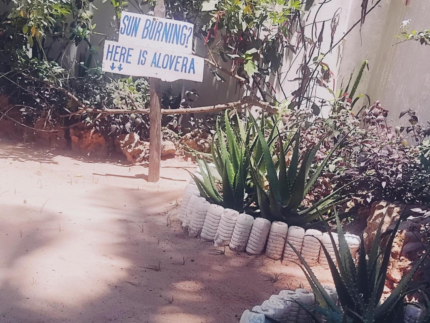 Maua Beach Hotel Kizimkazi Buitenkant foto